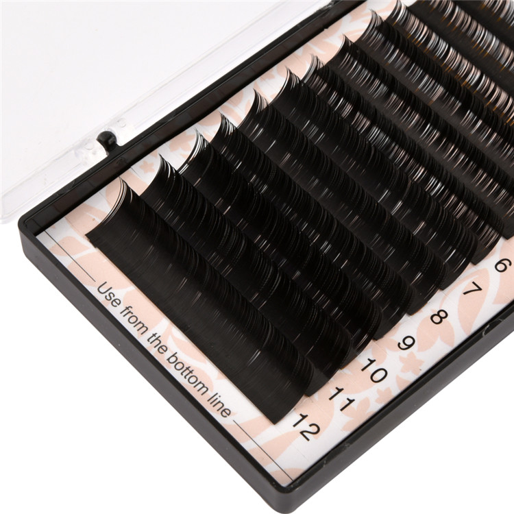 Wholesale Individual Eyelash Extension  Premium Quality In Korea PY1